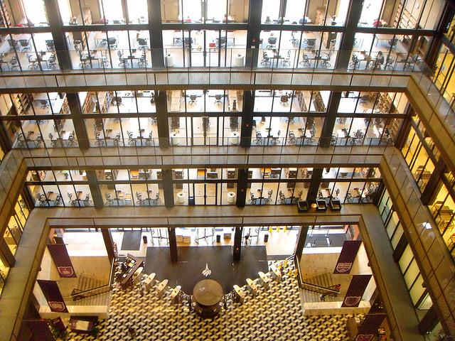 New York University New York University
