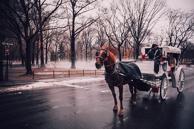 Central park in numbers