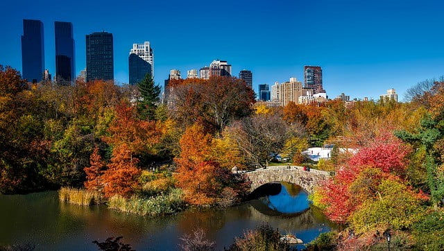 New York City tour