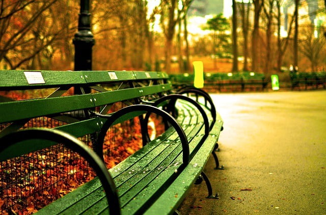 Central park in numbers