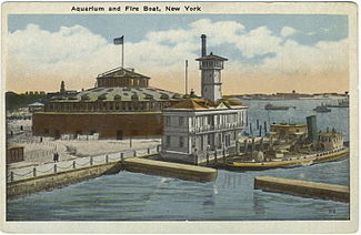 New York aquarium 3 New York aquarium 3