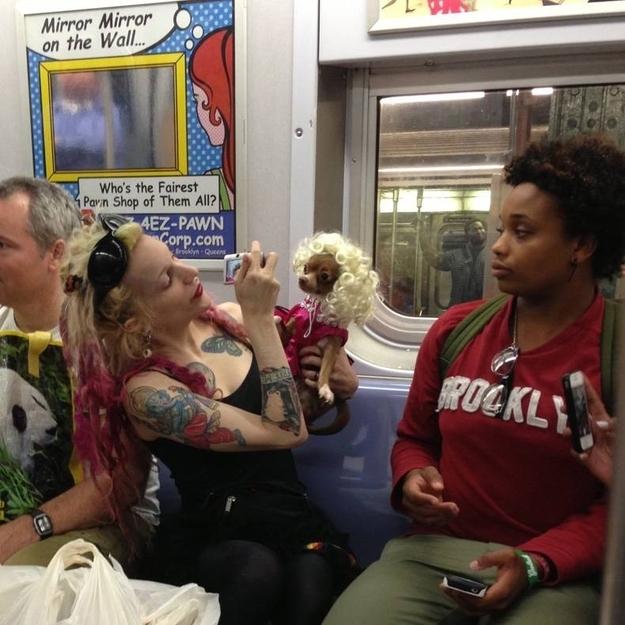 23 weird images from New York City Subway 10 23 weird images from New York City Subway 1