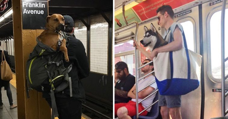 23 weird images from New York City Subway 4 Weird New York City Subway
