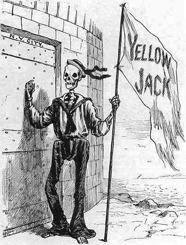Dark years of yellow fever