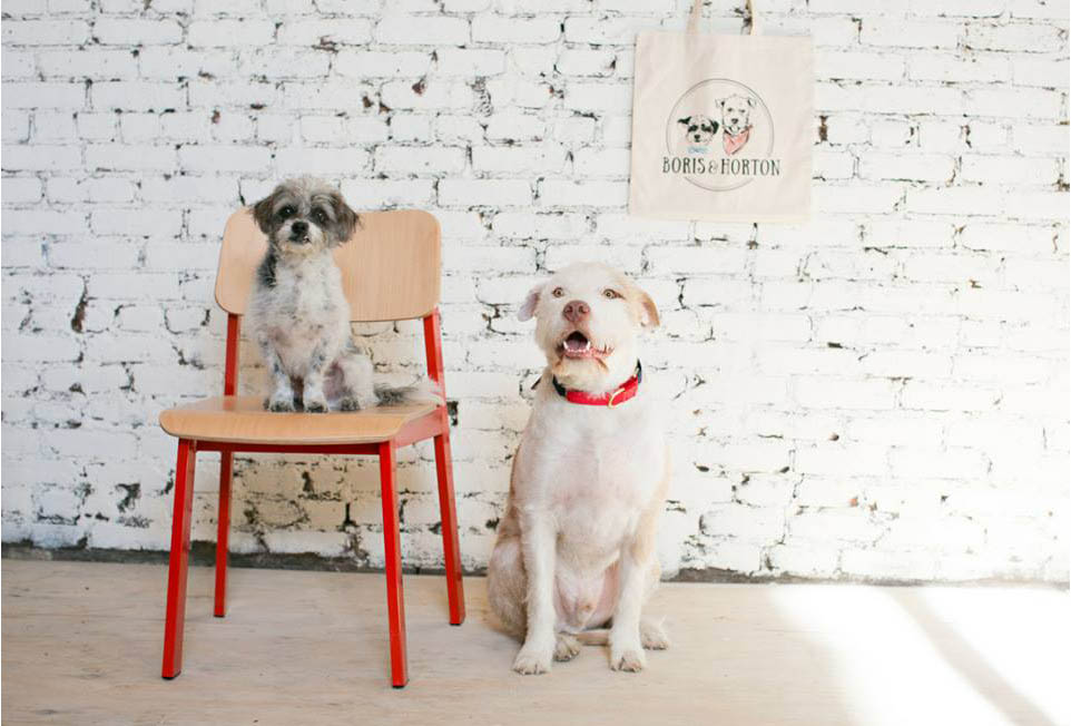 New Yorkers enjoy the first dog-friendly cafe in NYC 1 Boris and Horton