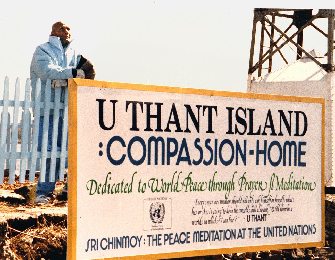 U Thant Island - Smallest Island In NYC
