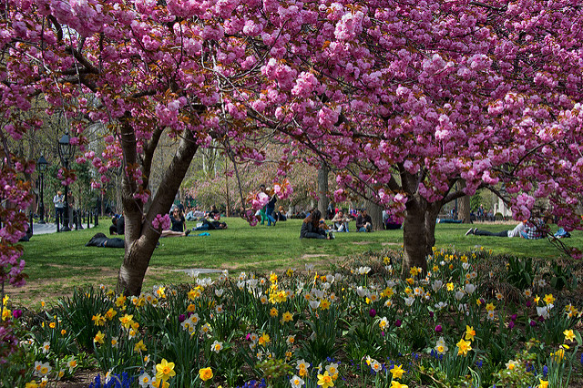 Spring in the City