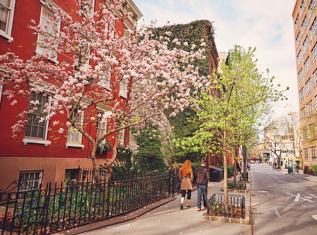 New York City - Spring Blossoms in the West Village