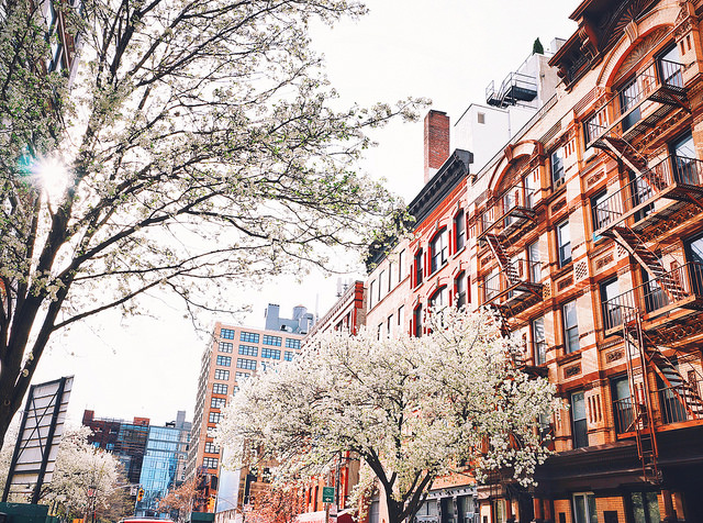 New York City - Springtime