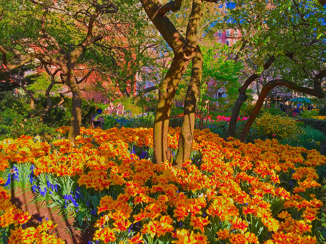 Spring in the city - West Village, New York City