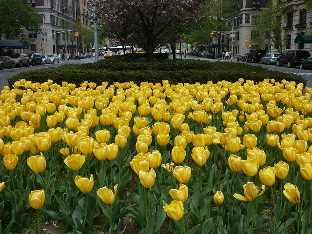 201204090 New York City Upper East Side