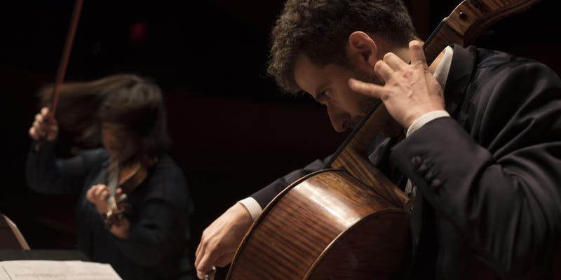 Best things to do in New York City next week: Tony Purrone Trio