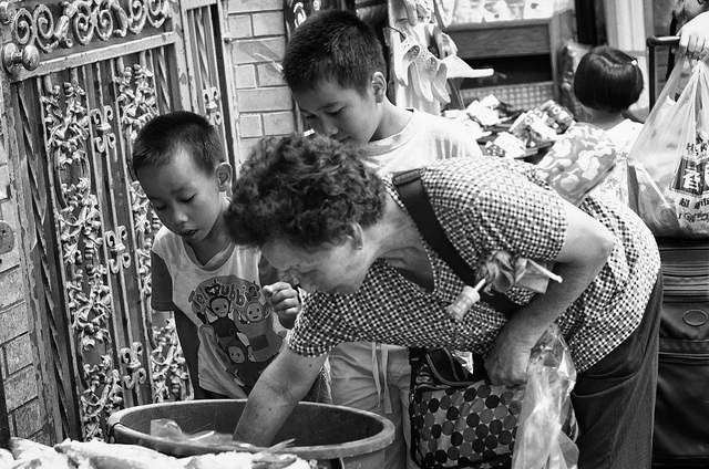 Vibrant New York City Chinatowns (Gallery) 40 New York City