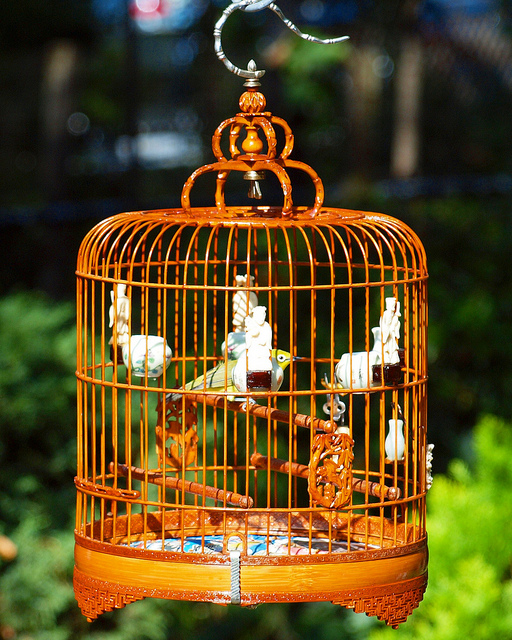 Vibrant New York City Chinatowns (Gallery) 37 Hua Mei Bird Garden, Chinatown, Manhattan, New York City