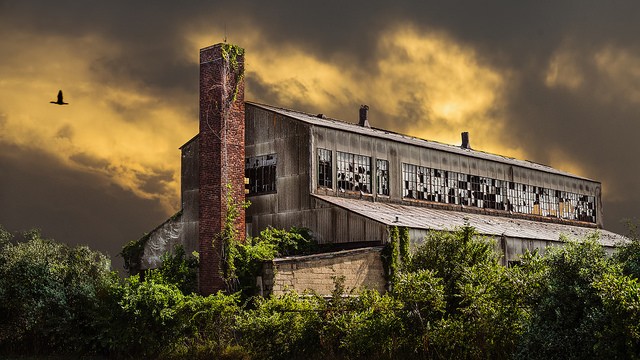 Throwback to Summer 2018 (Gallery) 1 Visiting Fort Tilden. Rockaway, New York City.