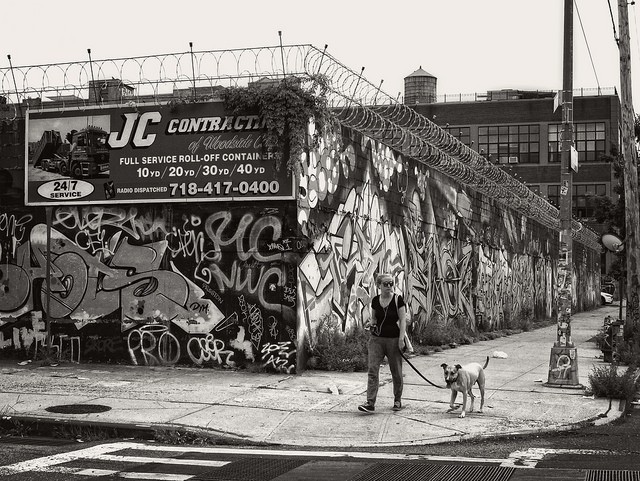 Throwback to Summer 2018 (Gallery) 2 Seigel Street, Brooklyn, NYC