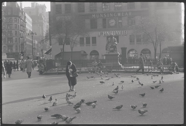 Old days in Harlem (Gallery and Videos) 21 Old days in Harlem
