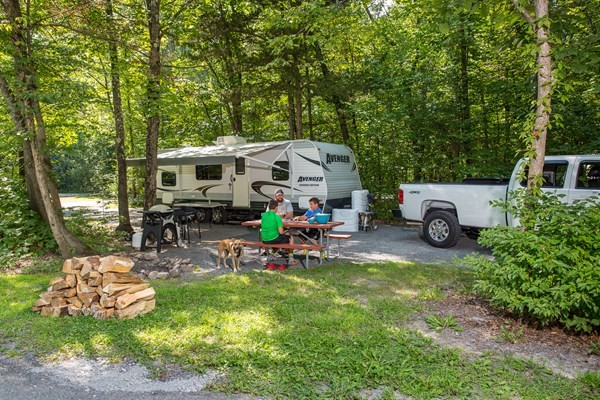Have a Unique Camping Experience in the Big Apple 1