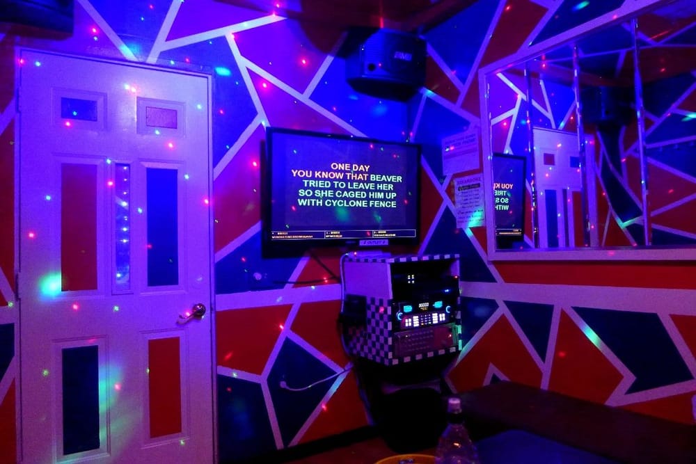 Karaoke in NYC? Top 7 Karaoke Bars To Embarrass Yourself in 2019 31