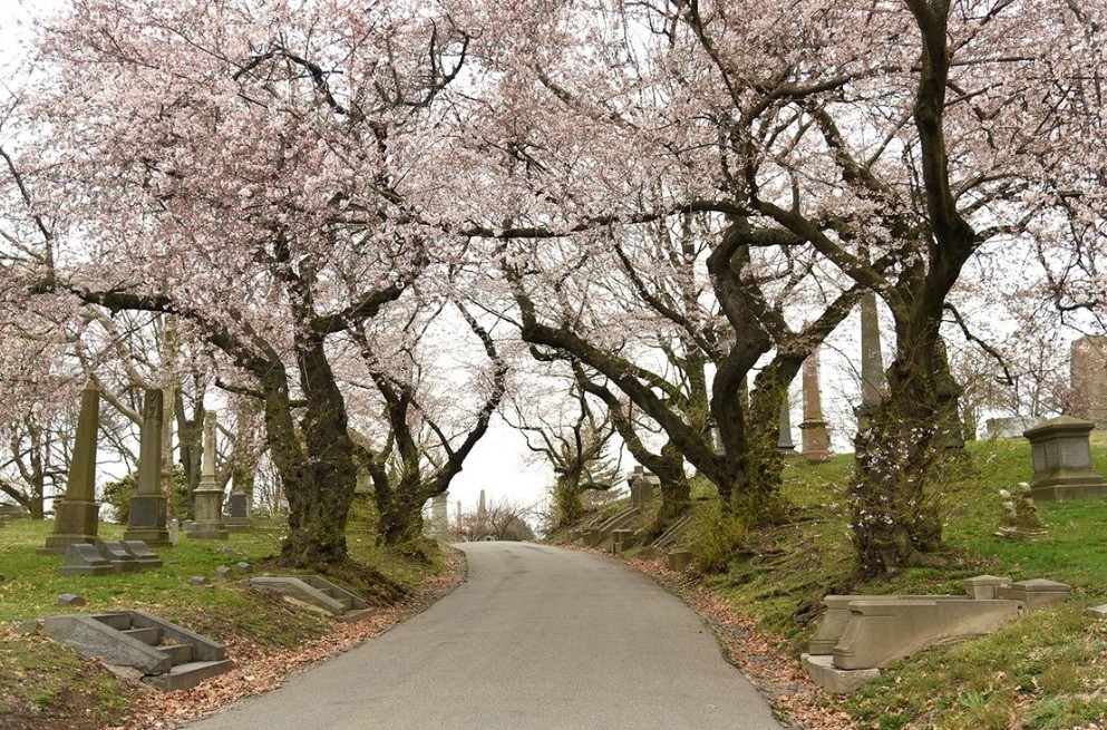 Where I find outdoor calm and solitude in New York City 1 Where I find outdoor calm and solitude in New York City 1
